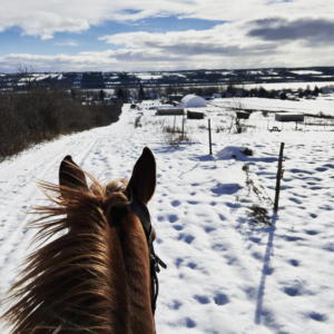 balade-cheval-quebec