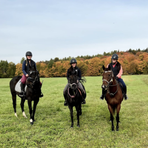 balade-poney-equitation-classique-quebec