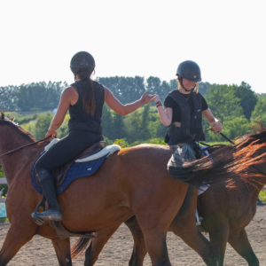 ecole-equitation